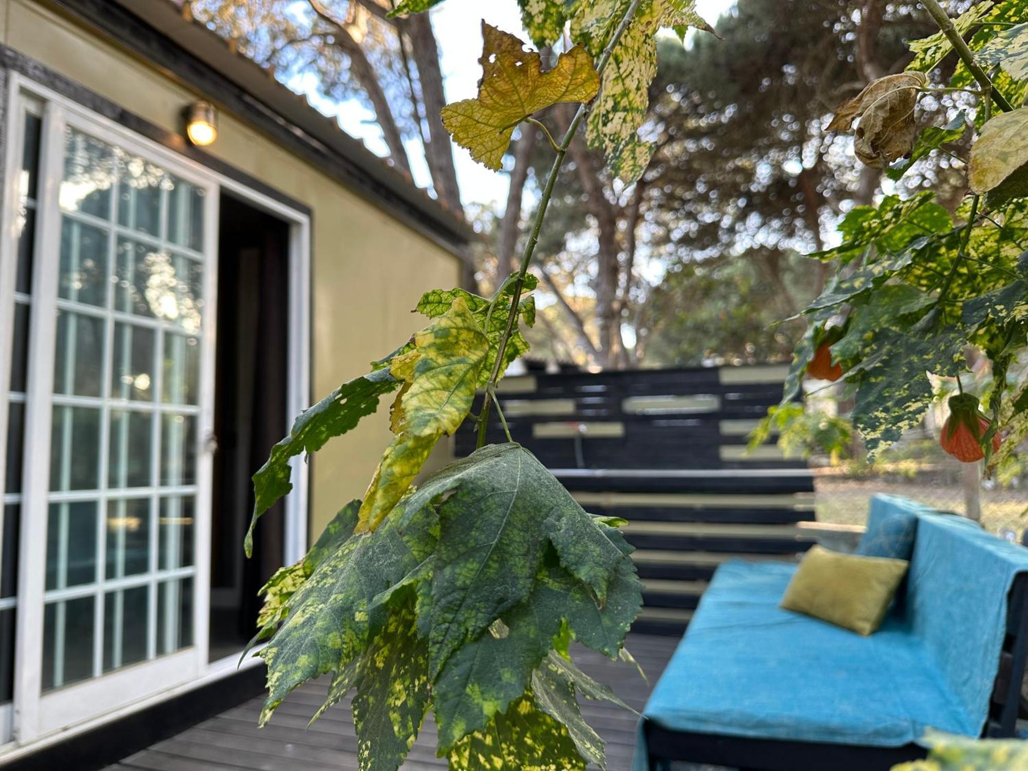 Eco-Friendly Beach House เซซิมบรา ภายนอก รูปภาพ
